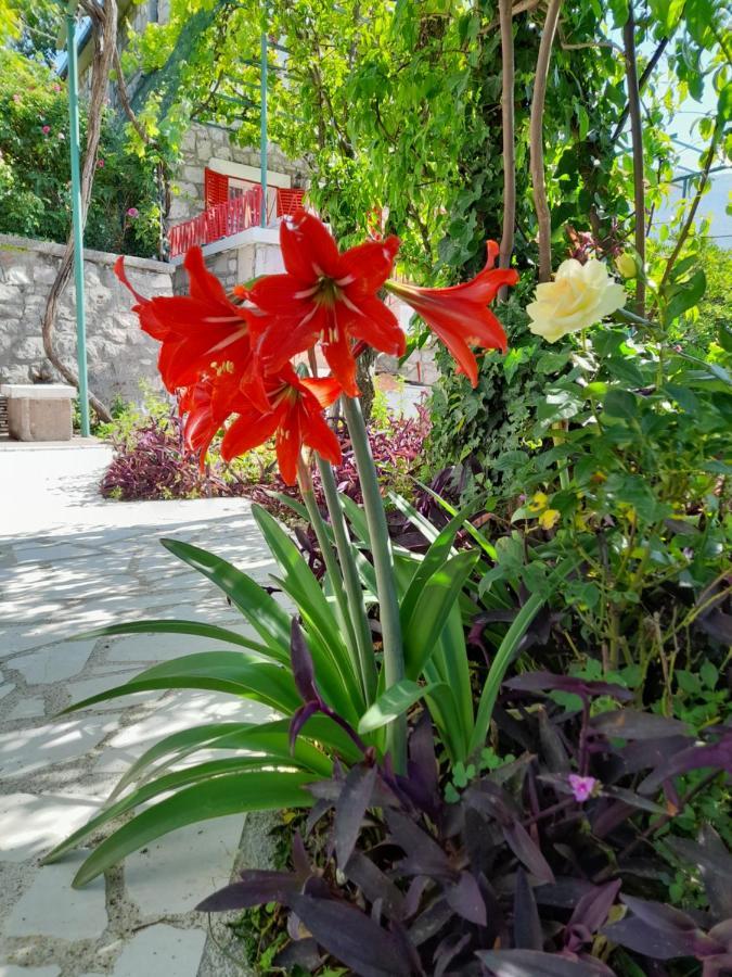 Vila Stone House In Buljarica Petrovac Exteriér fotografie