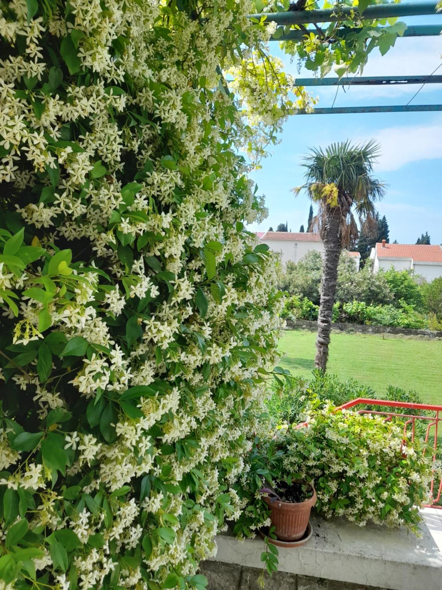 Vila Stone House In Buljarica Petrovac Pokoj fotografie